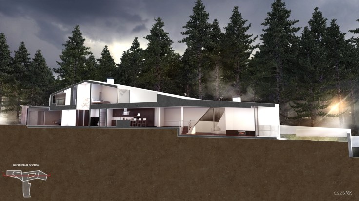 Chãs_ Long Section_cezark