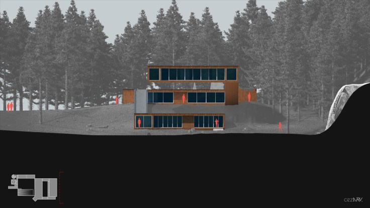 House in Forest_Section B_cezark