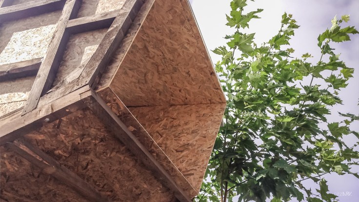 08. Tree House_Photo01_©cezark